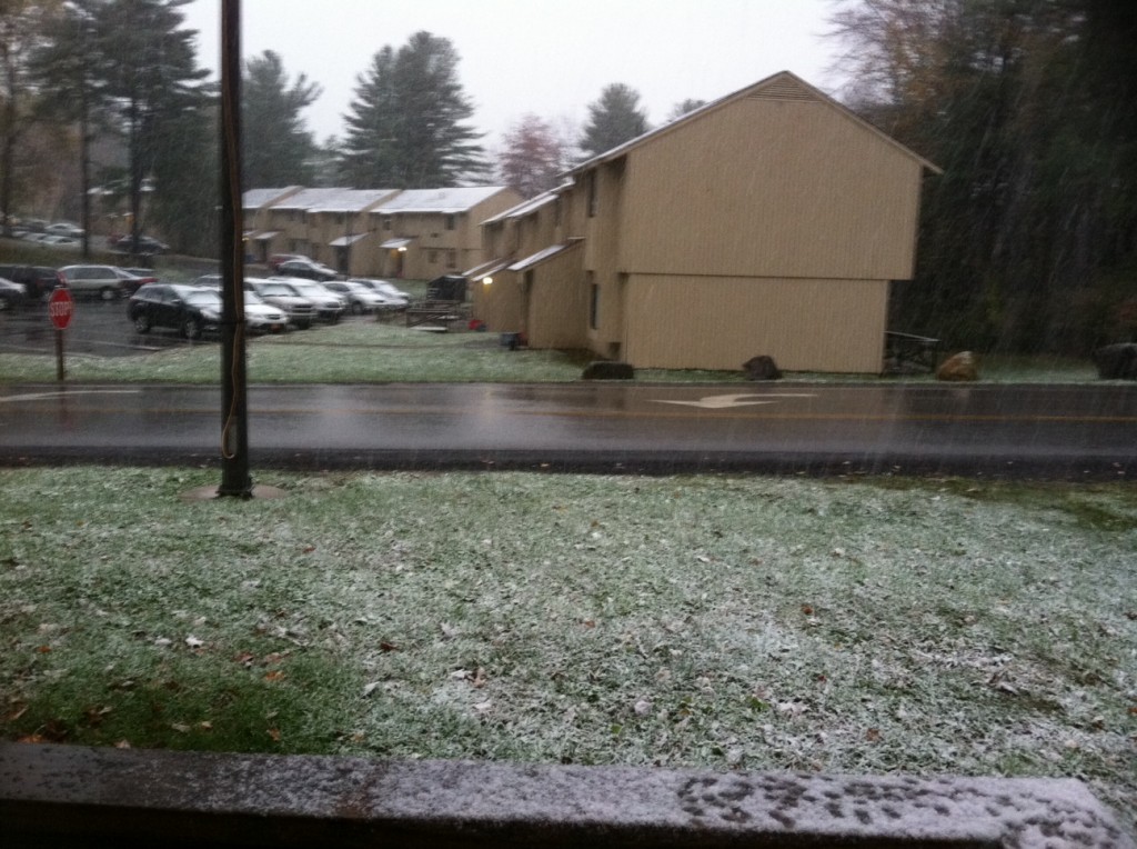 SNOWYSCRIBZ